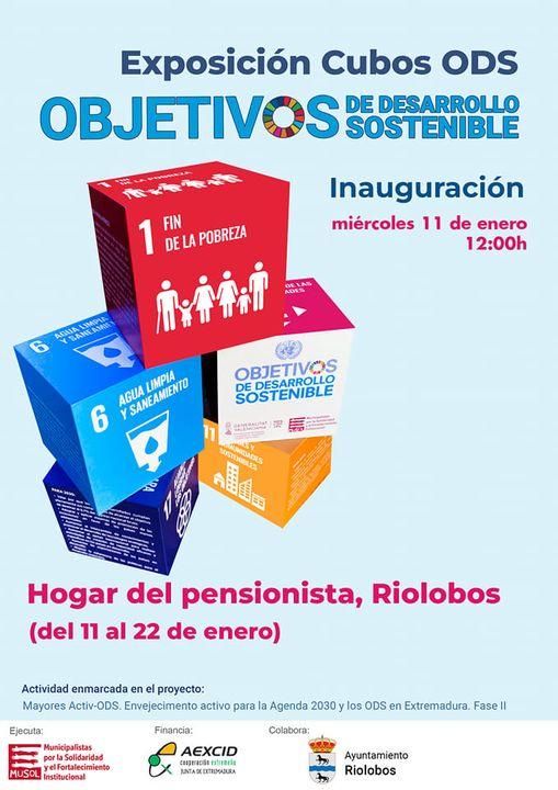 Imagen Del 11 al 22 de Enero - Exposición cubos Objetivos de Desarrollo Sostenible