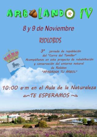 Imagen 8 y 9 - Arbolando IV