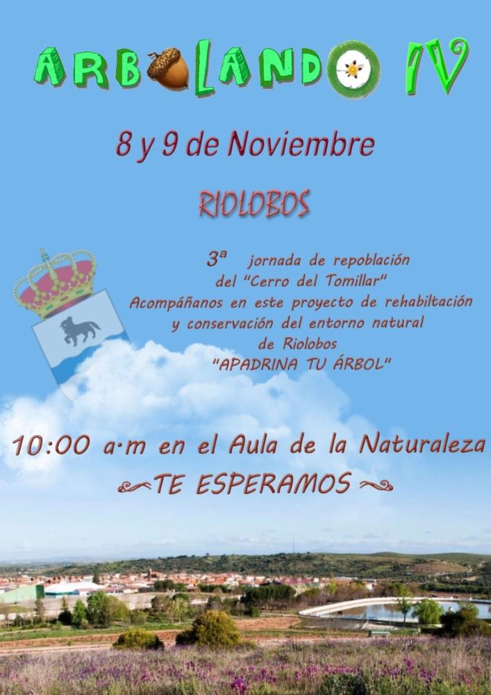 Imagen 8 y 9 - Arbolando IV