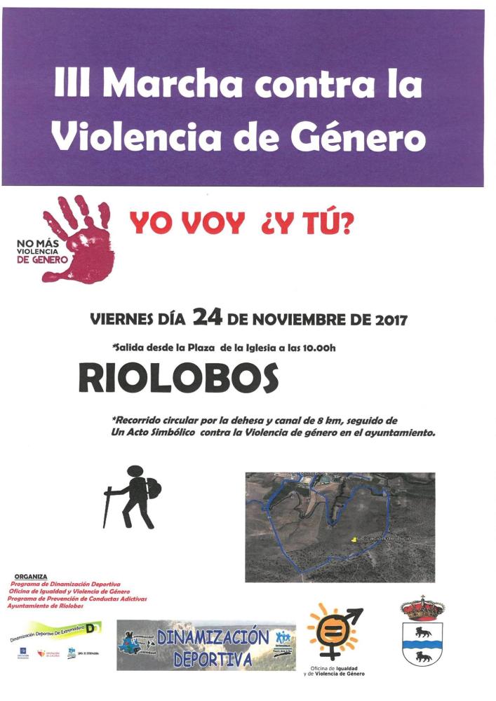 Imagen 24 de Noviembre - III Marcha Contra la Violencia de Género